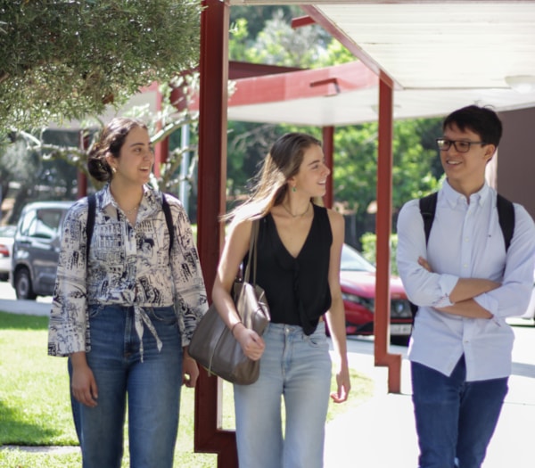 Máster sostenibilidad